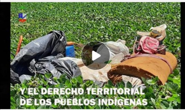 Screenshot_20211202_193759